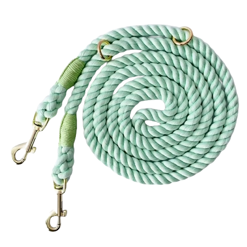 Mint Handsfree Leash
